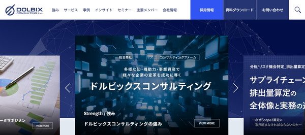 ドルビックスコンサルティングのHPキャプチャ